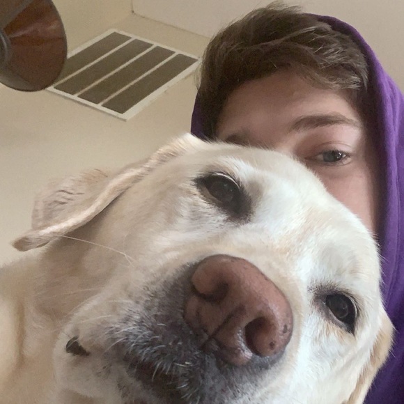 Meet your Posher, Jacob - Picture 1 of 1